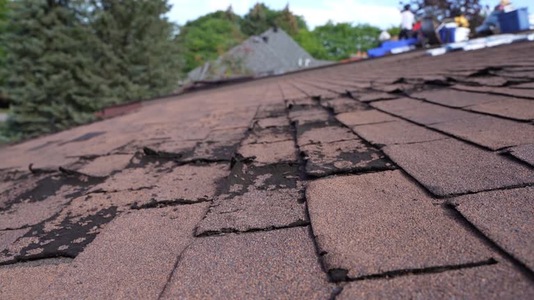 Best Solar Panel Roofing Installation  in Camden, OH