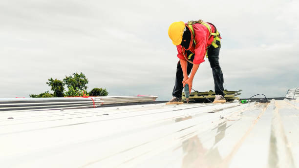 Best Gutter Installation and Repair  in Camden, OH