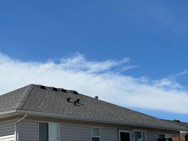 Fast & Reliable Emergency Roof Repairs in Camden, OH