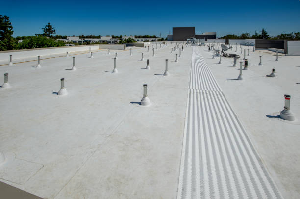 Best Storm Damage Roof Repair  in Camden, OH